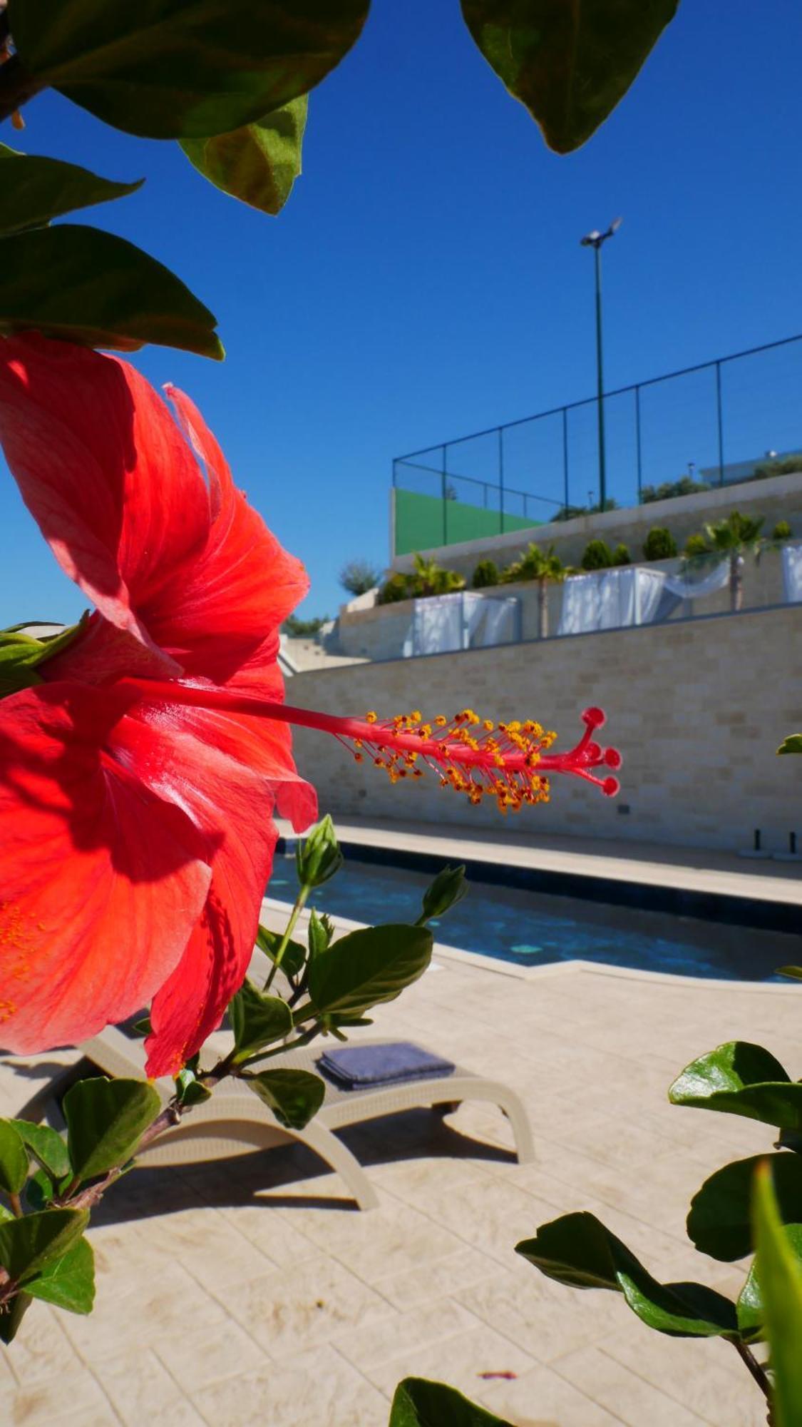 Amour Relax Hotel อัลมีรีดา ภายนอก รูปภาพ